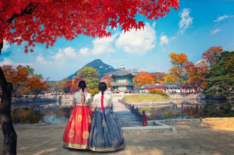 KAIST International Student Scholarship